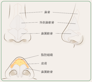 ぼる塾あんり鼻軟骨と体重