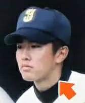 とにかく明るい安村と甲子園