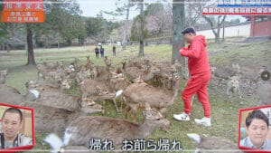 千原せいじ霊感と伝説