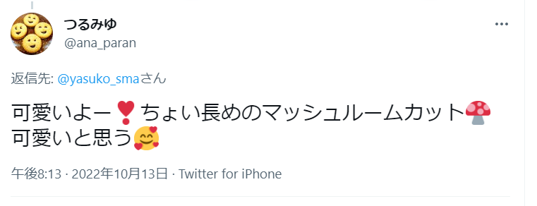 芸人やす子の体重と自衛隊時代