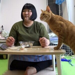 ヨネダ2000愛の保護猫